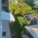 Parrot House * ベルティノーロ