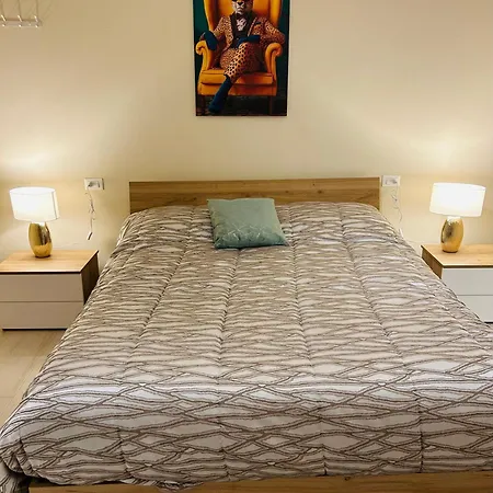 ベッド・アンド・ブレックファスト Parrot House *