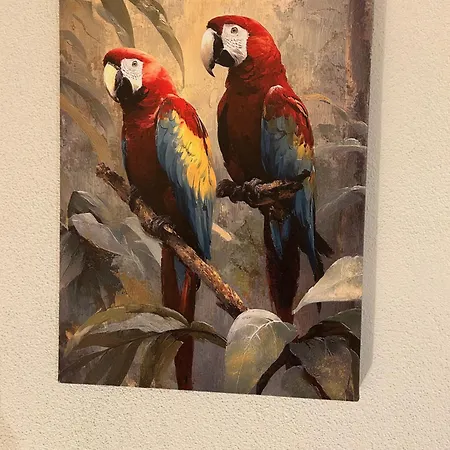 Parrot House ベルティノーロ