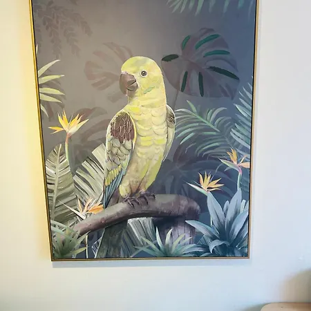 Bed & Breakfast Parrot House *