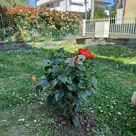 Parrot House Bertinoro