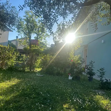 Parrot House Bertinoro