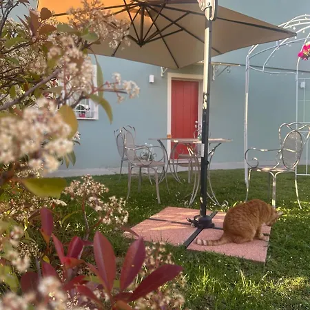 Parrot House Bed & Breakfast Bertinoro