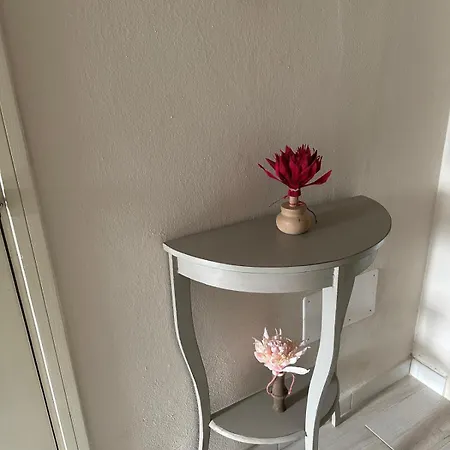 Parrot House *