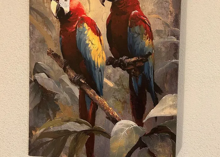 Parrot House 贝尔蒂诺罗