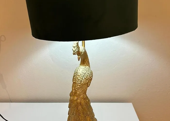 Parrot House 贝尔蒂诺罗