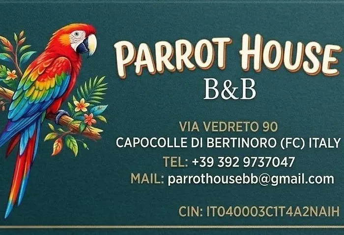 Parrot House Bed & Breakfast
